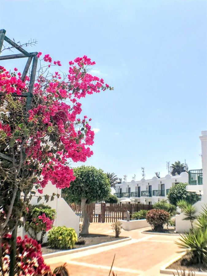 Armonia Pool View & Wi-Fi By Irent Fuerteventura Apartamento Corralejo Exterior foto